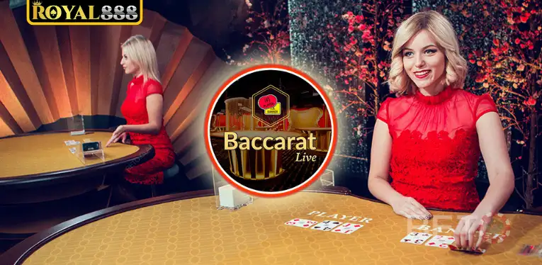 Baccarat Live Strategy to Win Big