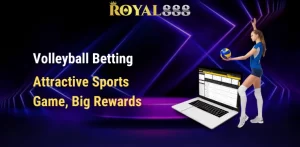 Volleyball Betting – Attractive Sports Game, Big Rewards